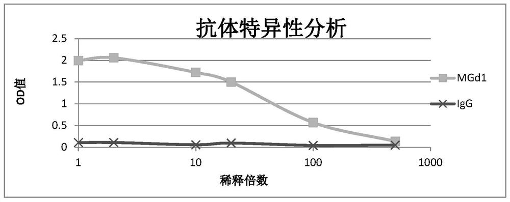 Anti-mg7-ag monoclonal antibody (mgd1) and use thereof