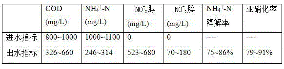 Coupling type sewage purification and regeneration treating method capable of removing phosphorus efficiently