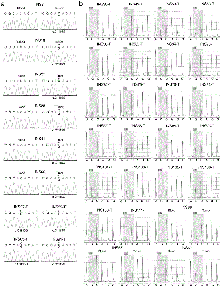 Pancreatic neuroendocrine tumor susceptibility gene locus and detection method and kit