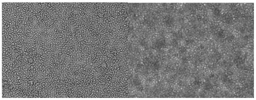 Avian bursal disease virus genetic engineering vaccine as well as preparation method and application thereof