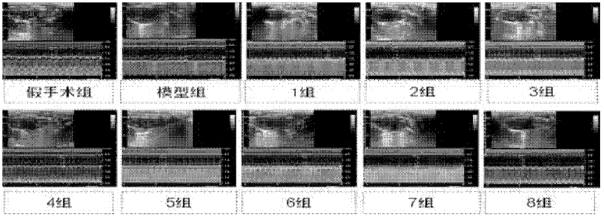 A pharmaceutical composition containing active ingredients of Shengmaiyin and its preparation method