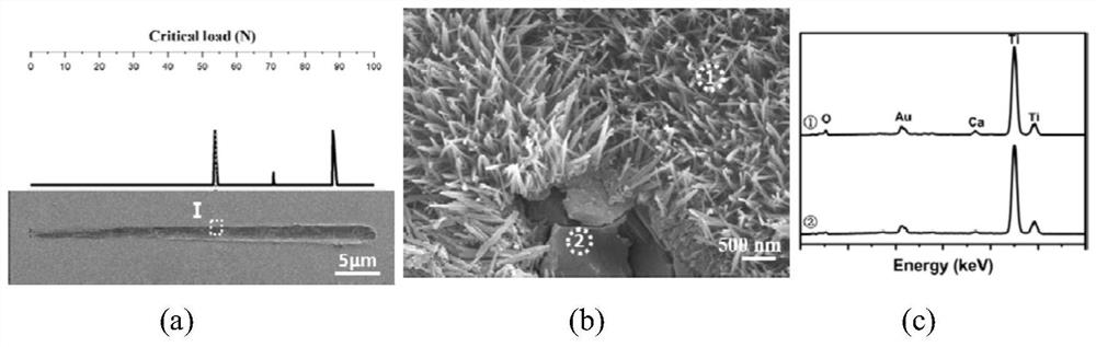 Preparation method of calcium hydroxytitanate fiber coating on the surface of titanium-based implant with complex morphology