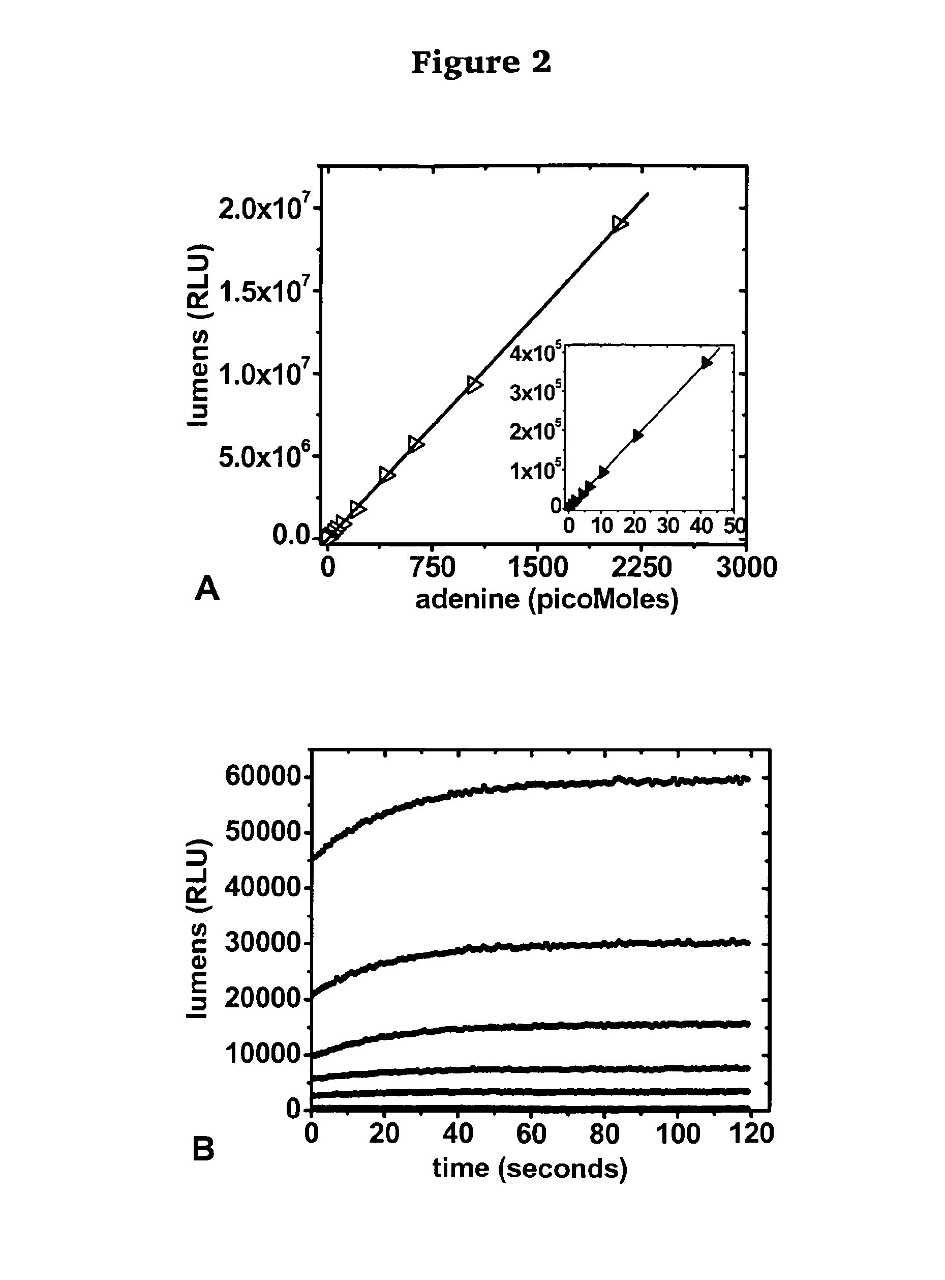 Methods for detecting ricin and related compounds and uses thereof