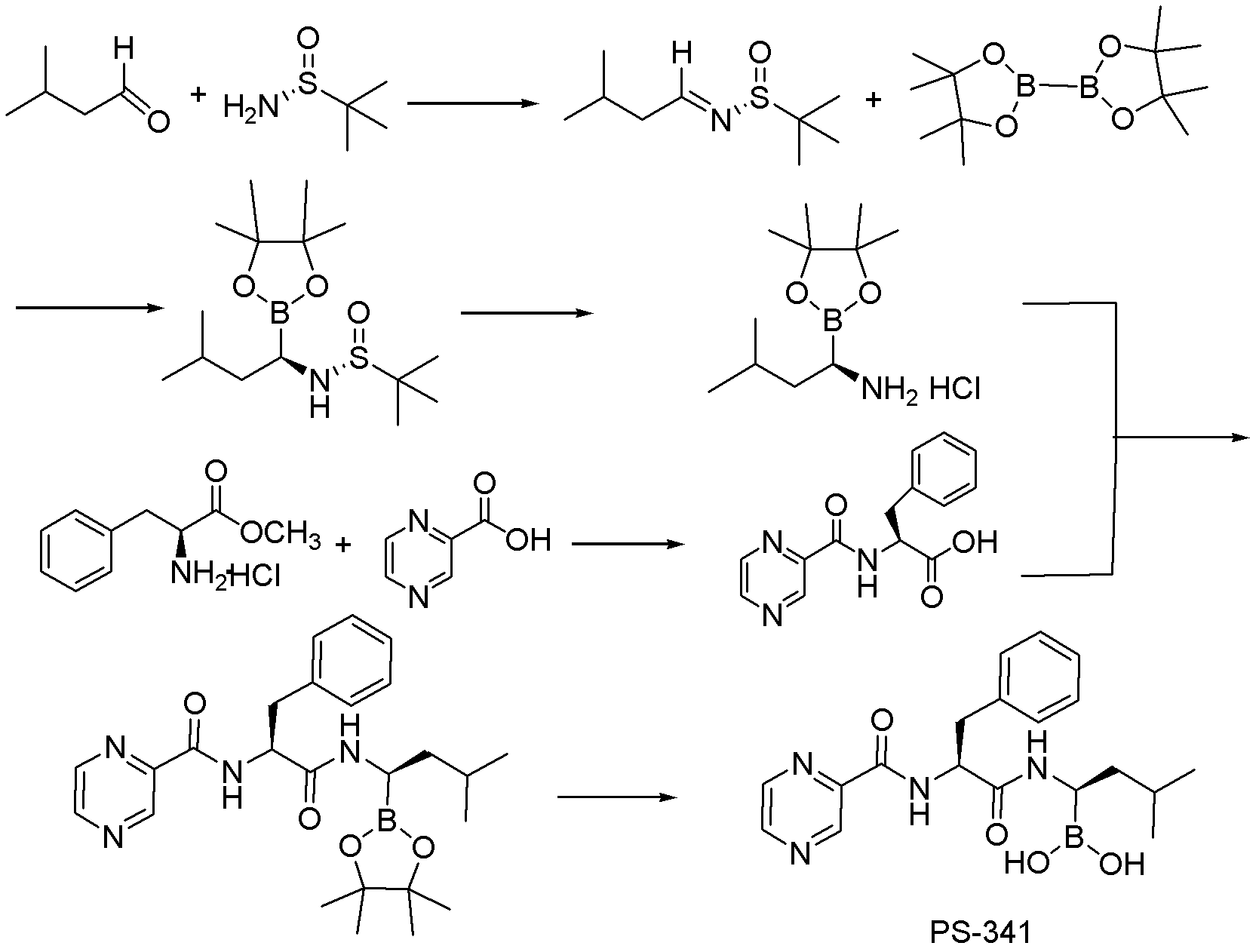 Synthetic method of proteasome inhibitor bortezomib and analogs