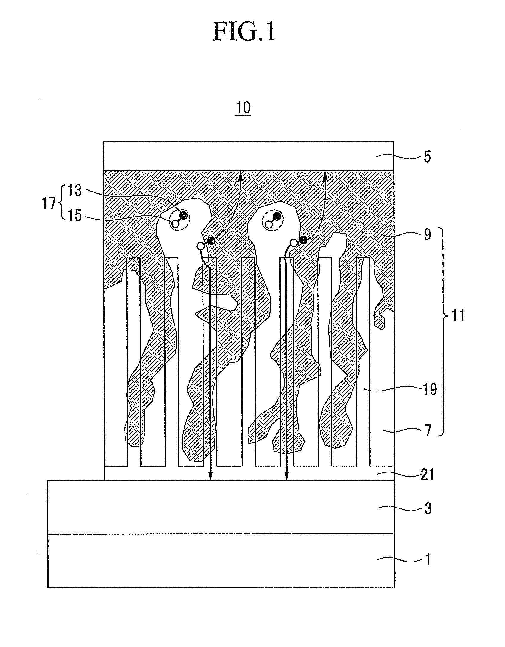 Organic solar cell and method of fabricating the same