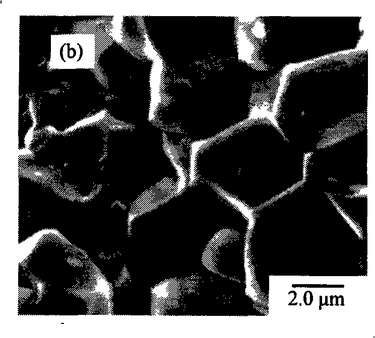 Lead niobium antimonite-containing five-element piezoelectric ceramics material for driver and preparation thereof