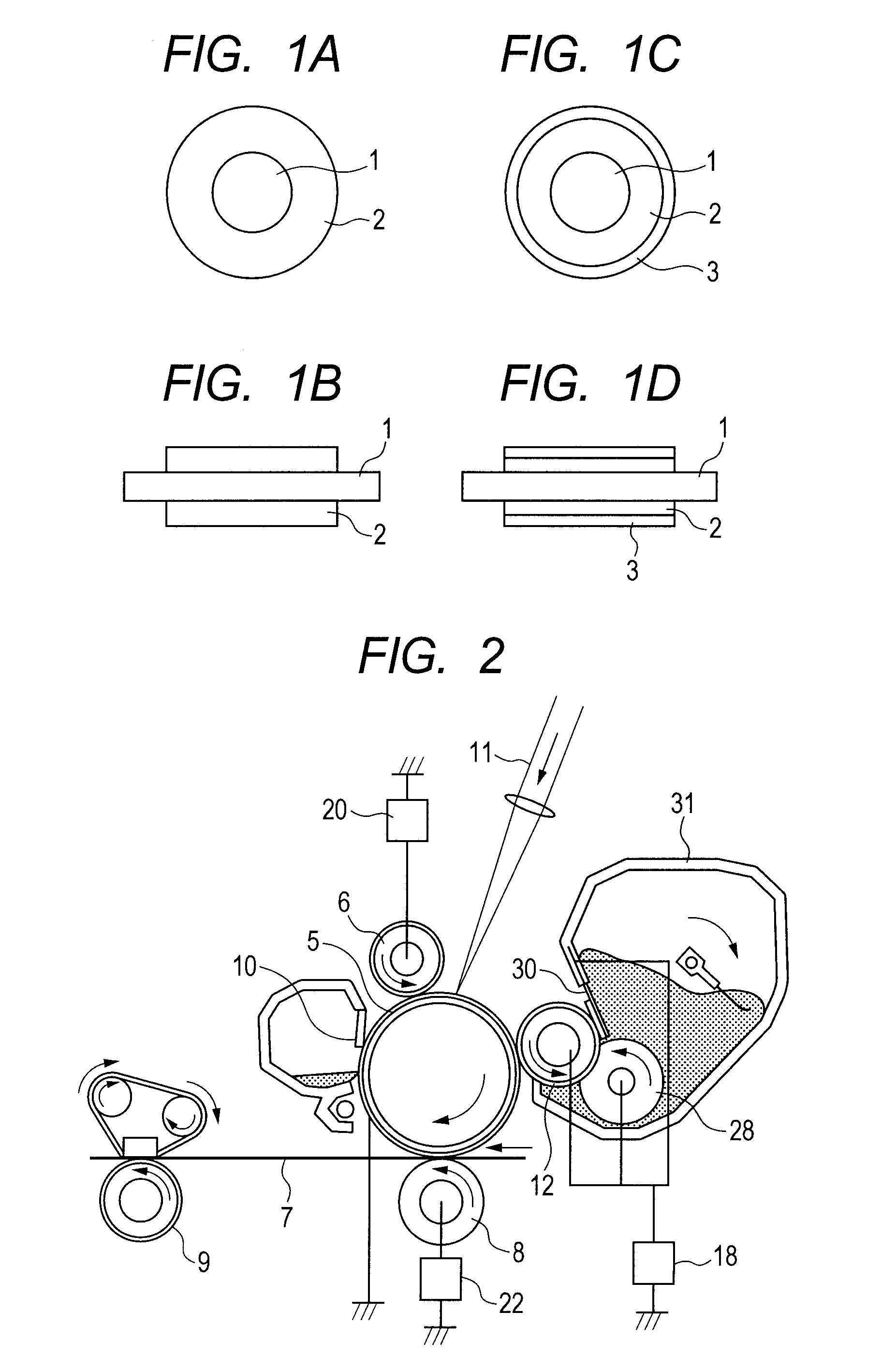Conductive member, process cartridge, and electrophotographic apparatus