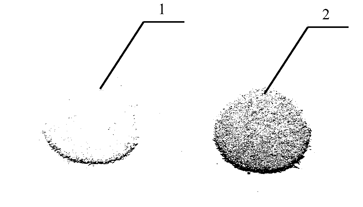 Method for rapidly identifying seawater and freshwater pearl powder