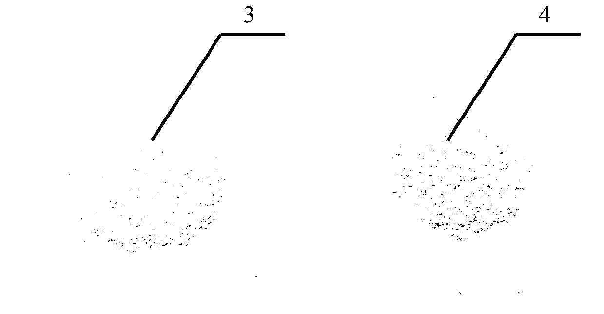 Method for rapidly identifying seawater and freshwater pearl powder