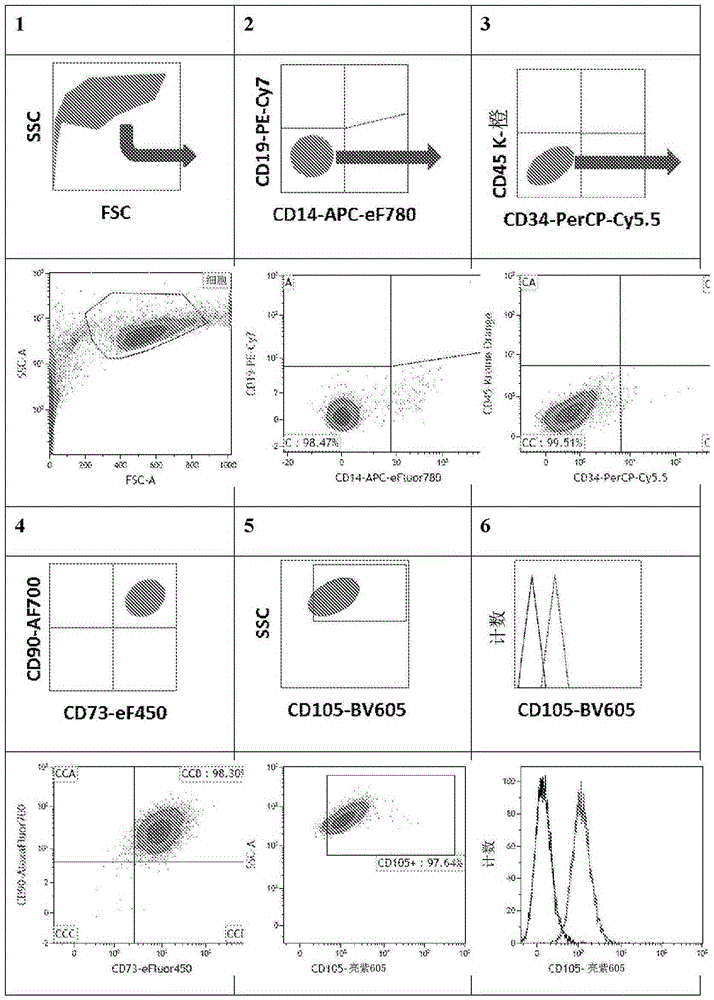 Multicolor flow cytometry method for identifying population of cells, in particular mesenchymal stem cells