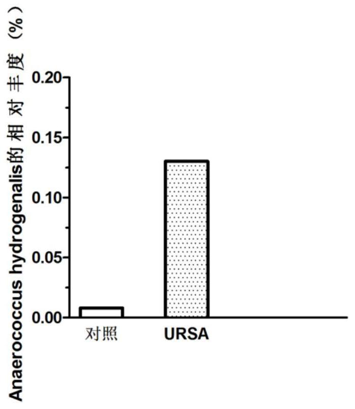 A kind of microorganism related to recurrent miscarriage and its application