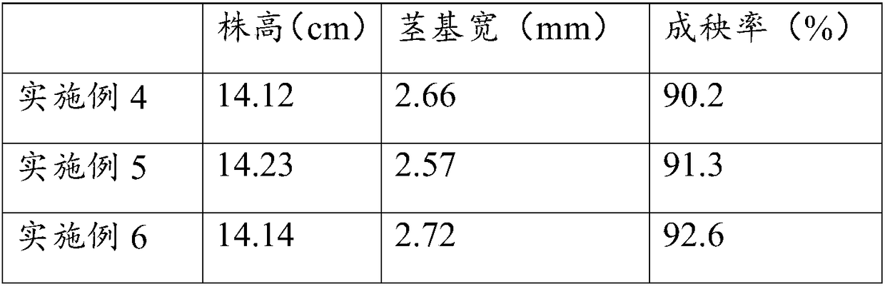 Rice seedling strengthening agent, and preparation method and application thereof