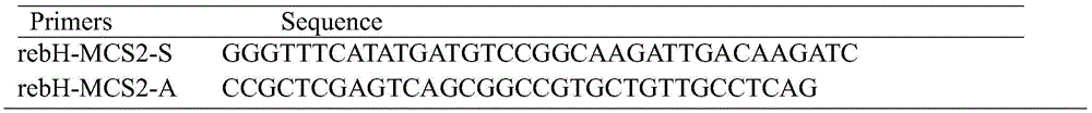 Recombinant bacterium providing improved efficiency in convertive production of Alpha-phenylpyruvic acid