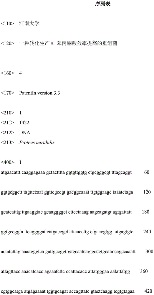 Recombinant bacterium providing improved efficiency in convertive production of Alpha-phenylpyruvic acid