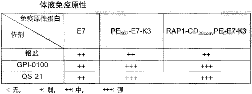 A vaccine composition comprising an immunogenic protein and combination adjuvants for use in eliciting antigen-specific t-cell responses