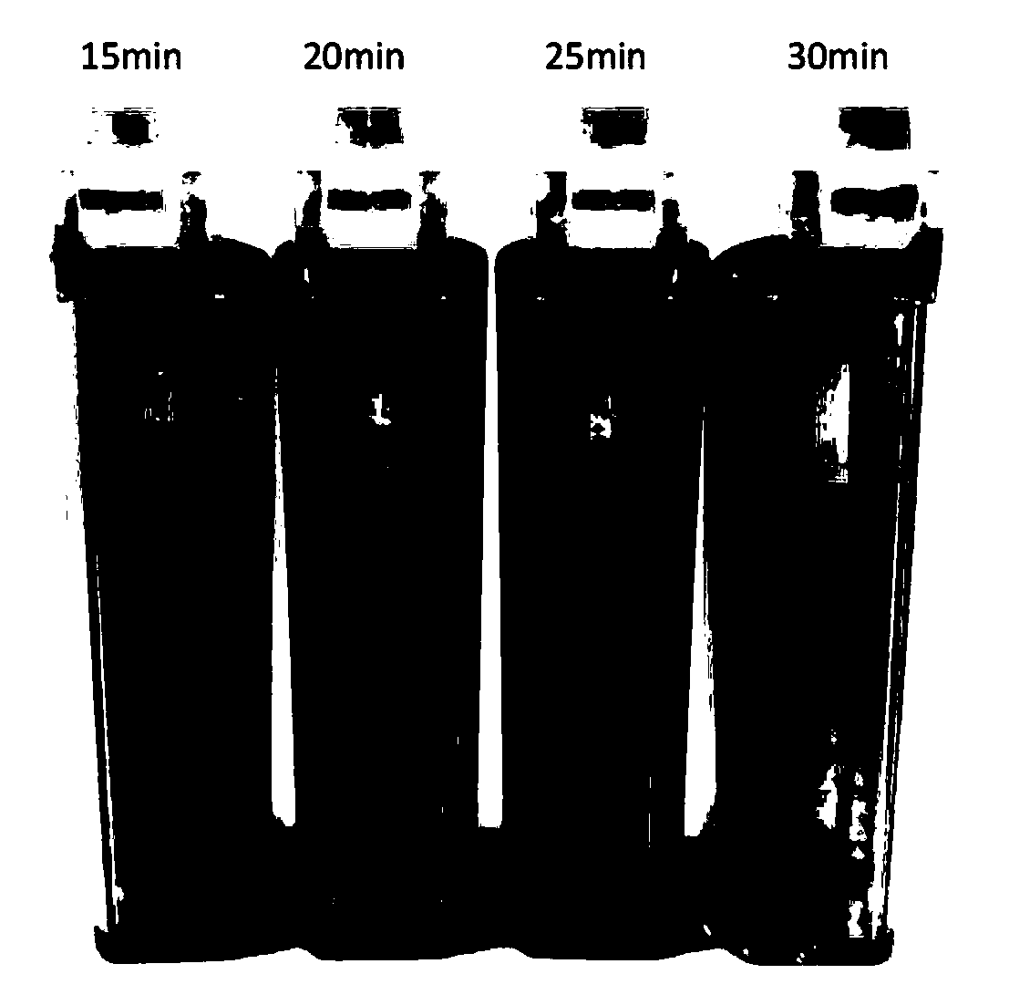 Primer, probe and kit for detecting canine distemper virus of giant panda