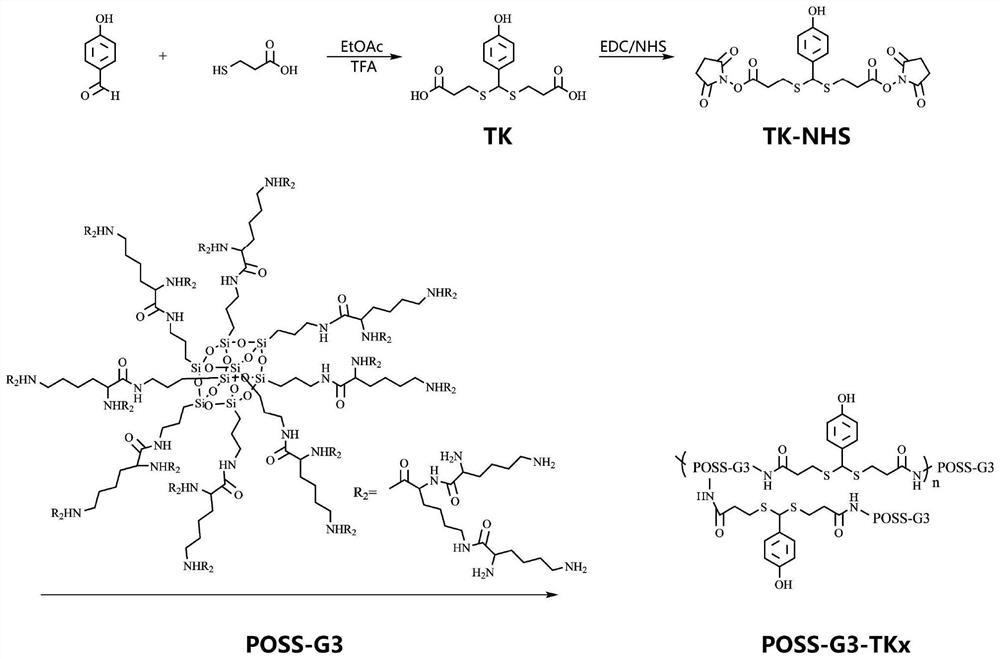 ROS-responsive gene delivery vector and its preparation method and application