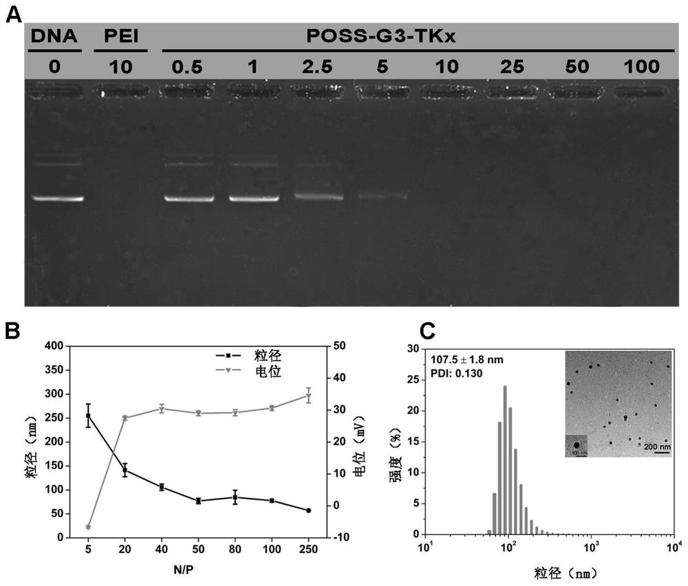ROS-responsive gene delivery vector and its preparation method and application
