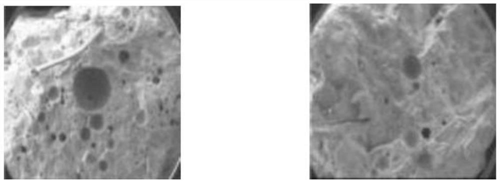 Inactivation, sterilization and high-corrosion-resistance double-fiber modified repair mortar and preparation method thereof