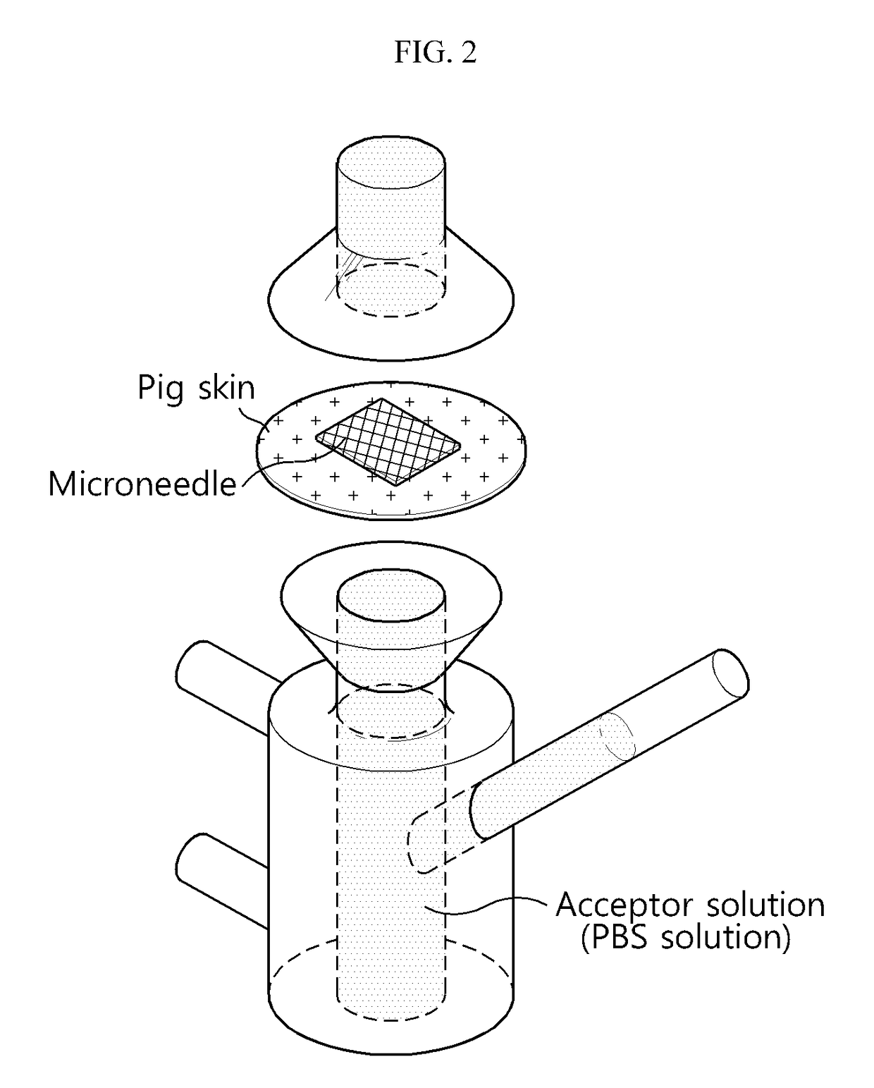 Soluble microneedle for delivering proteins or peptides