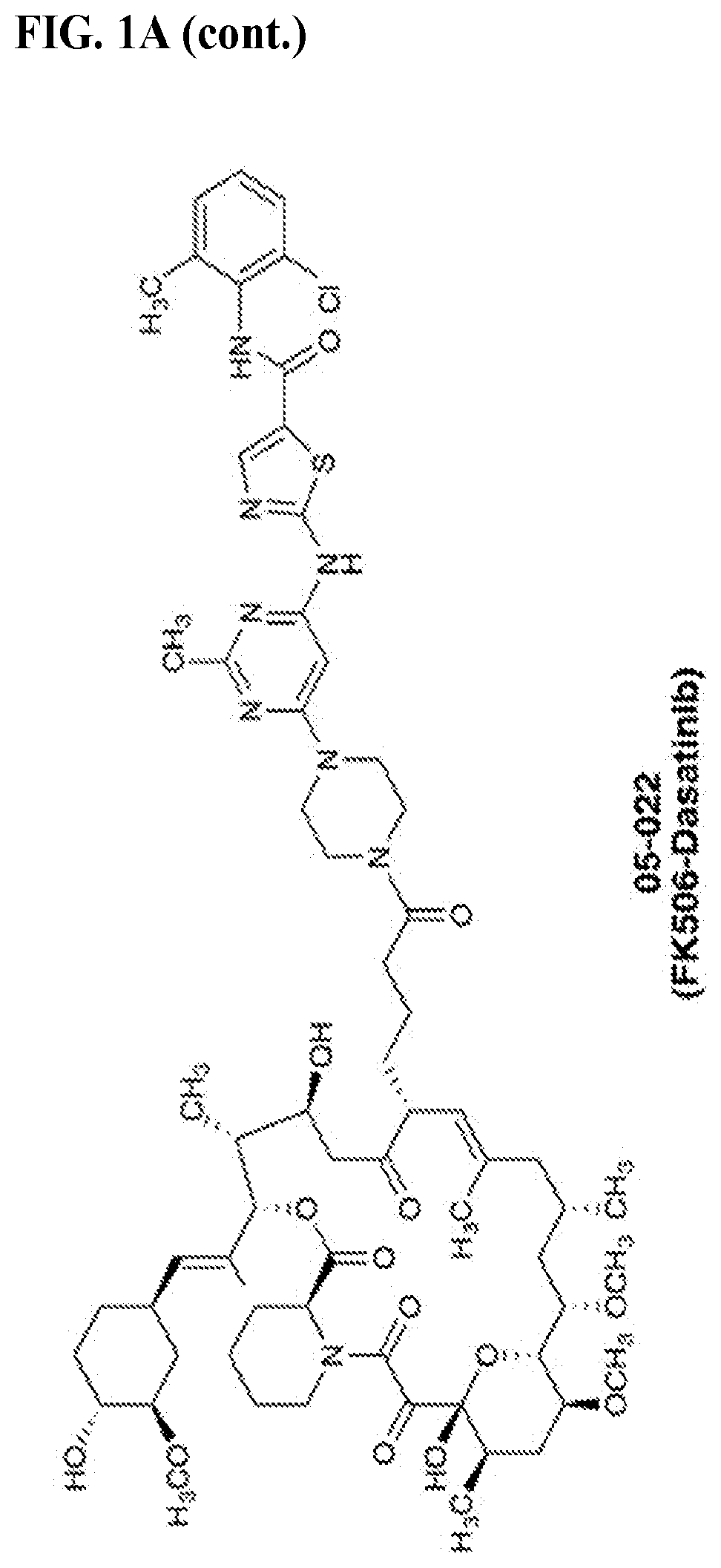 Immunophilin-dependent inhibitors and uses thereof