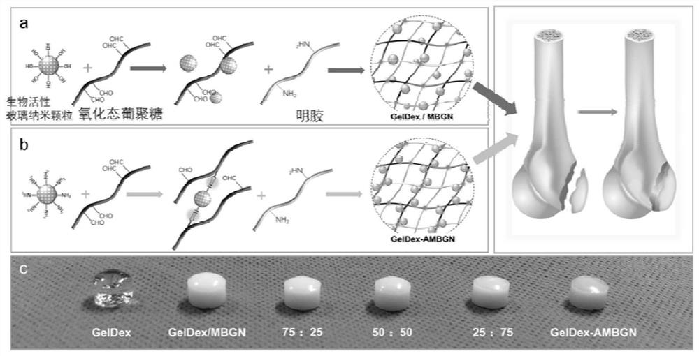 A gelatin-based bone tissue adhesive, its preparation method and application