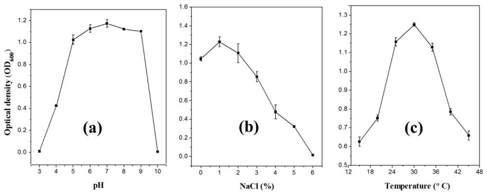 Ralstonia pickettii M1 strain and its application in degrading phenanthrene and biphenyl