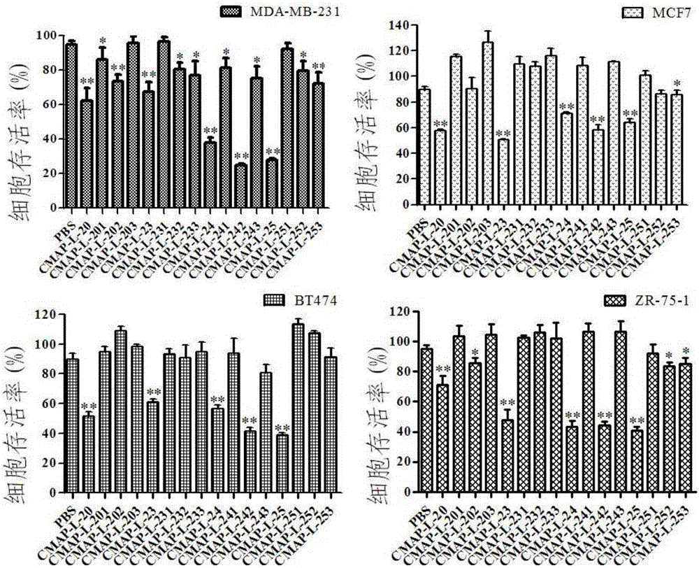 Anticancer peptide as well as preparation method and application thereof