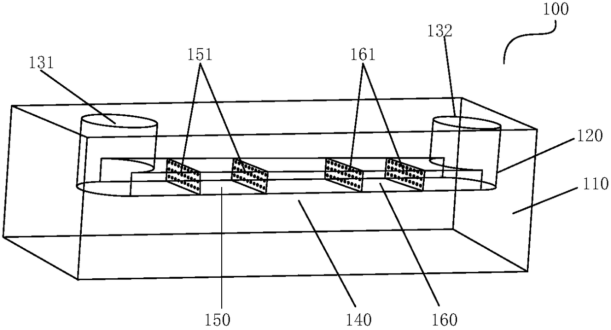 Chip for evaluating mobile biological living body pharmacokinetics and real-time detection system