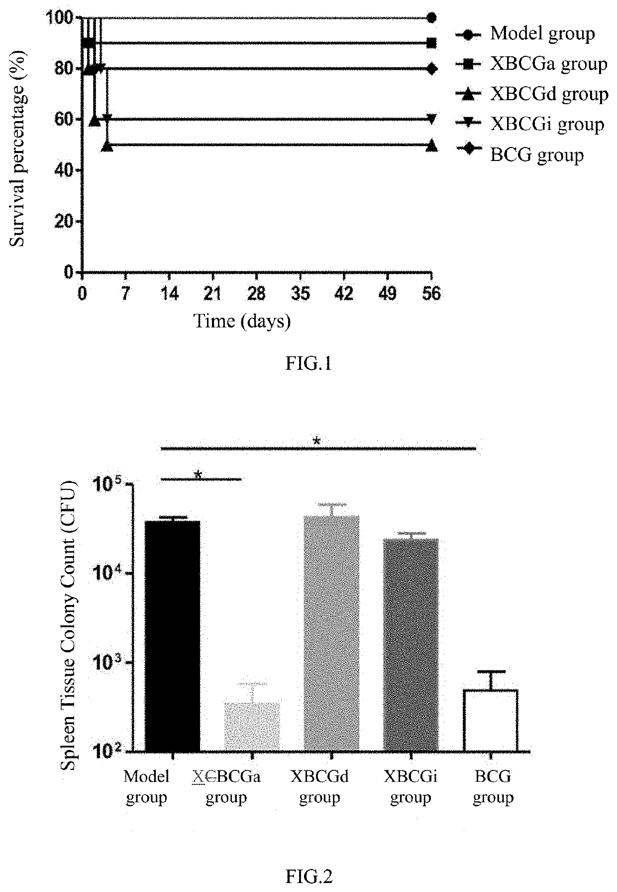 Tuberculosis vaccine, preparation method therefor, and use thereof