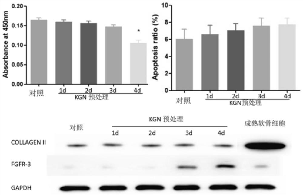 A new induction system and induction method for promoting chondrogenic differentiation of mesenchymal stem cells