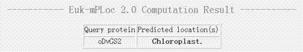 Glutamine synthetase gene, protein coded by same and cloning method therefore