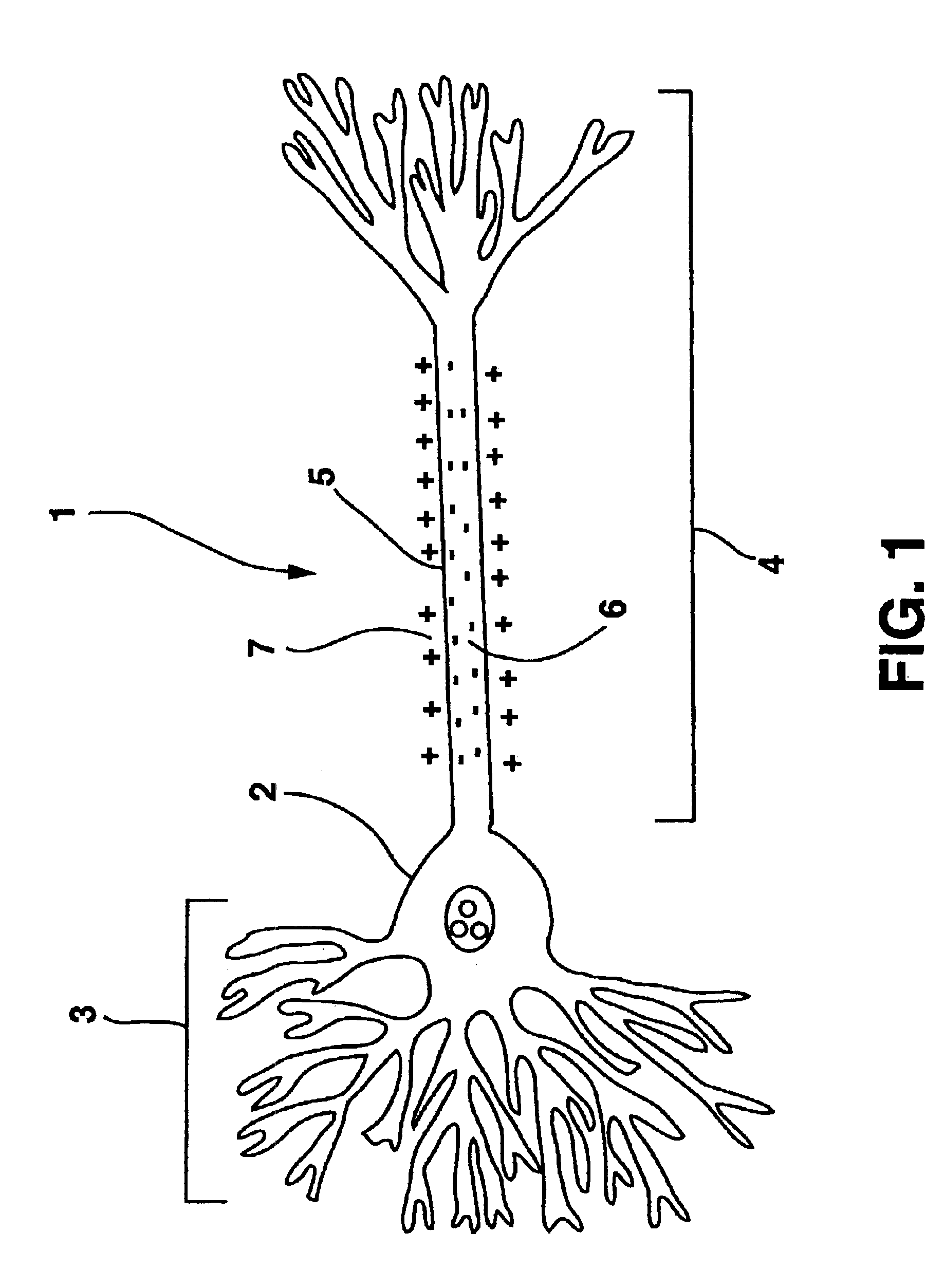 Method of preparing neural tissue of the brain for subsequent electrical stimulation