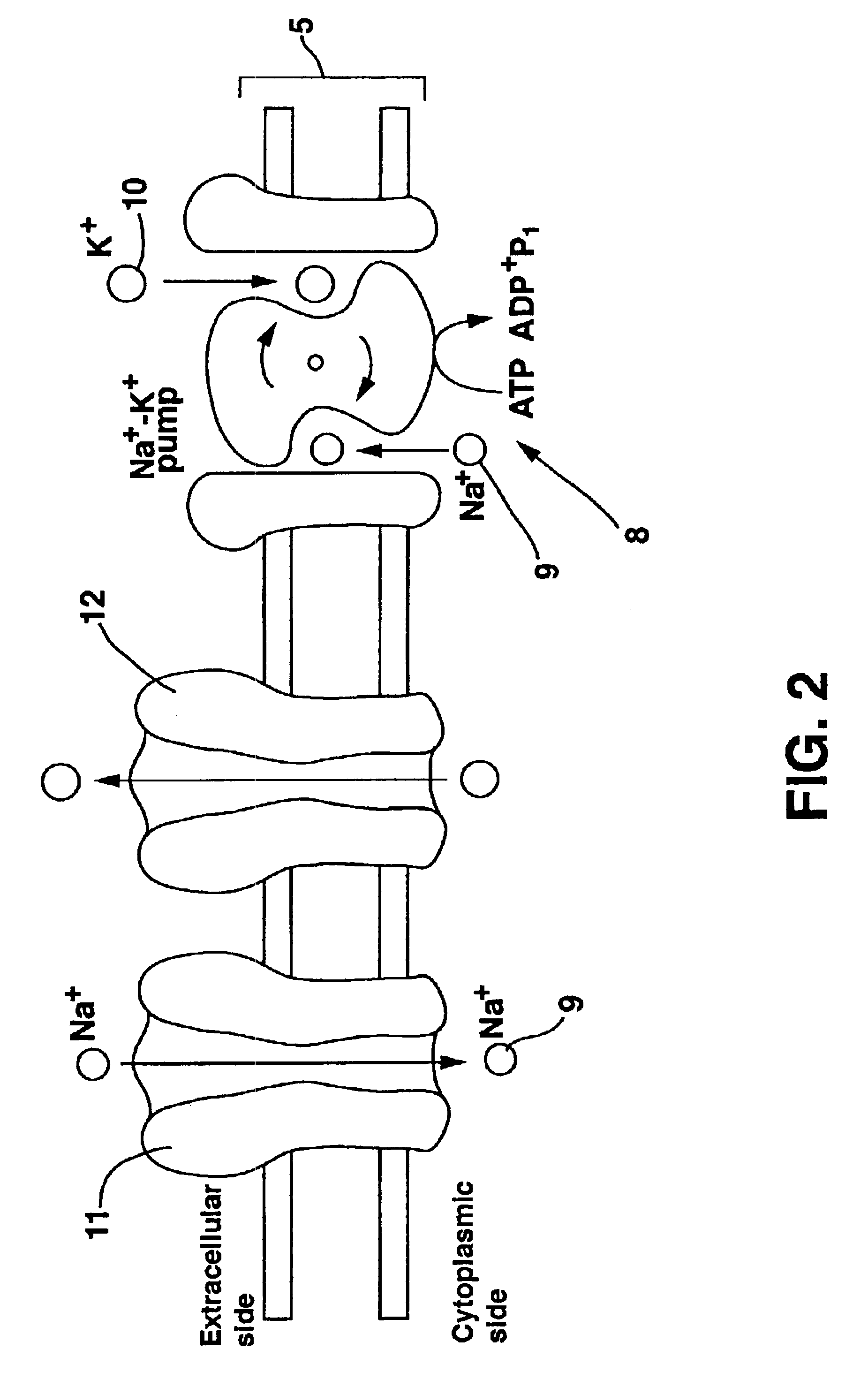 Method of preparing neural tissue of the brain for subsequent electrical stimulation