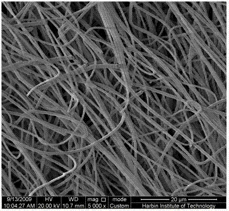 Hollow carbon fiber felt epoxy resin composite material and preparation method thereof