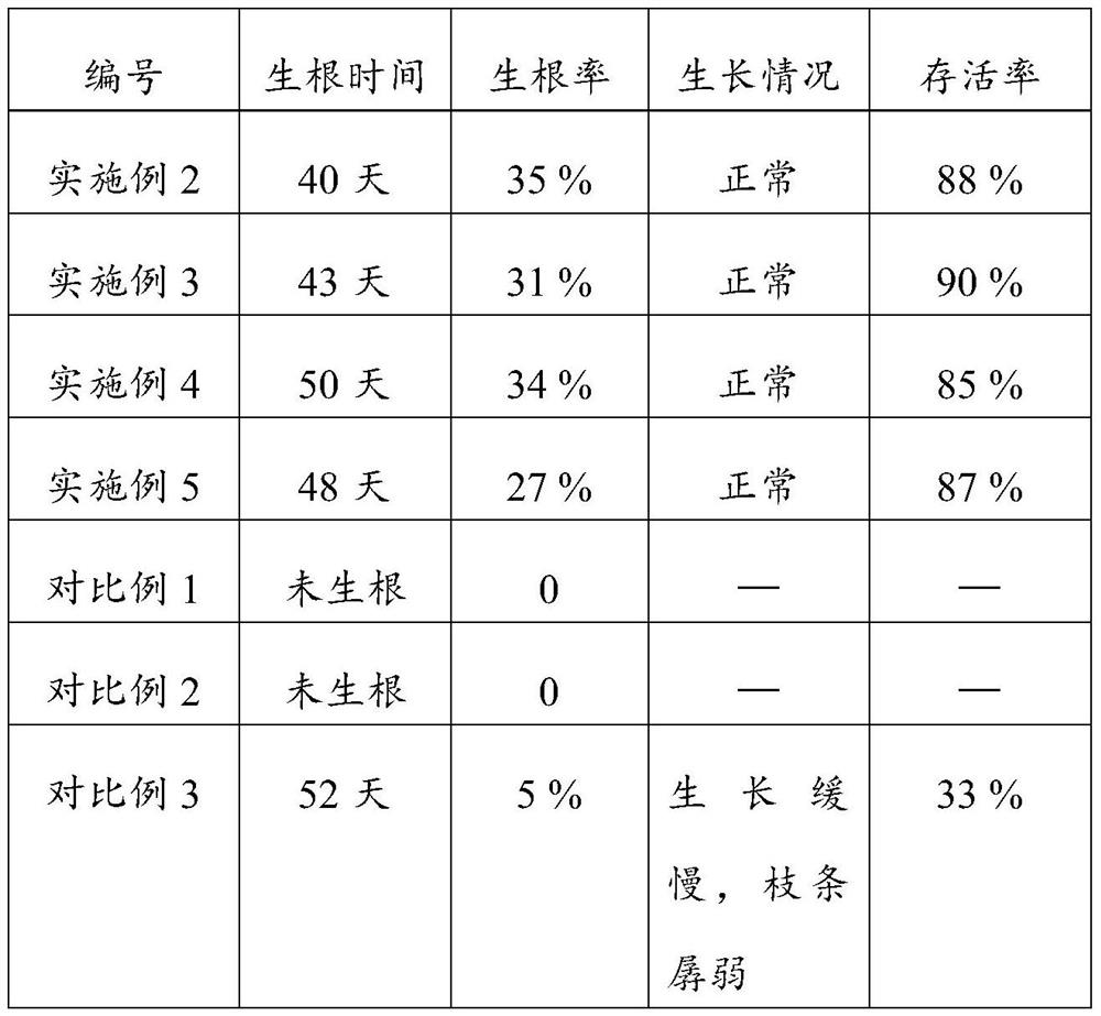 A kind of cutting propagation method of Rhododendron lingbao