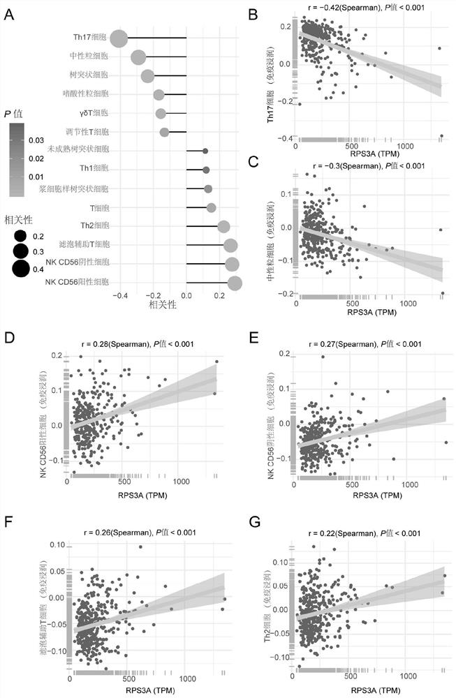 Application of RPS3A molecule in prediction of immune cell infiltration and immune checkpoint molecular expression level in tumors and predicting model