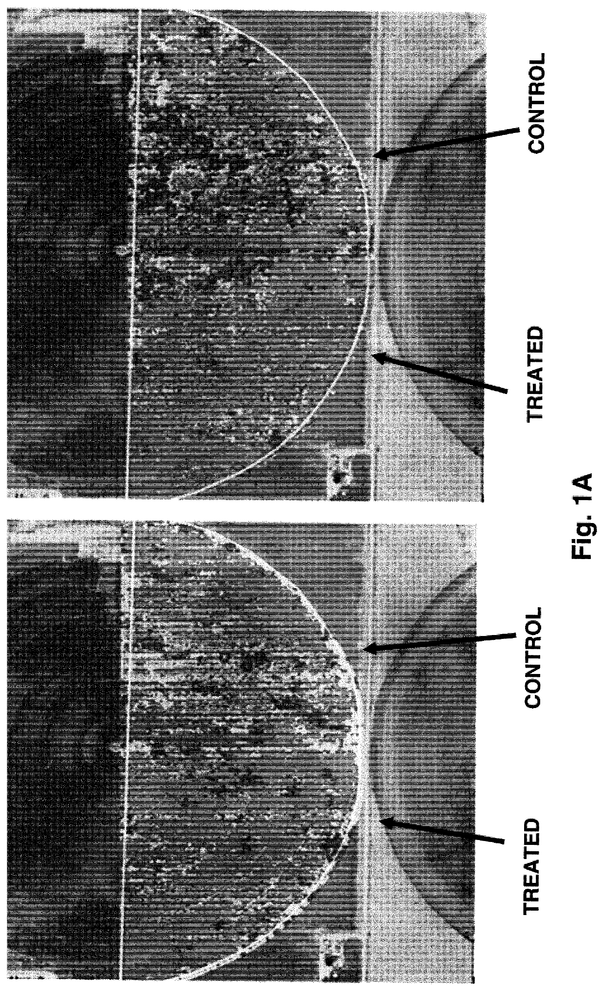 Bioavailable minerals for the mitigation of pathogens in plants