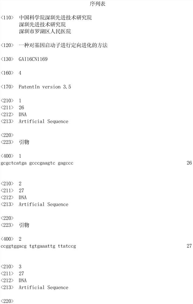 A method for directed evolution of gene promoters