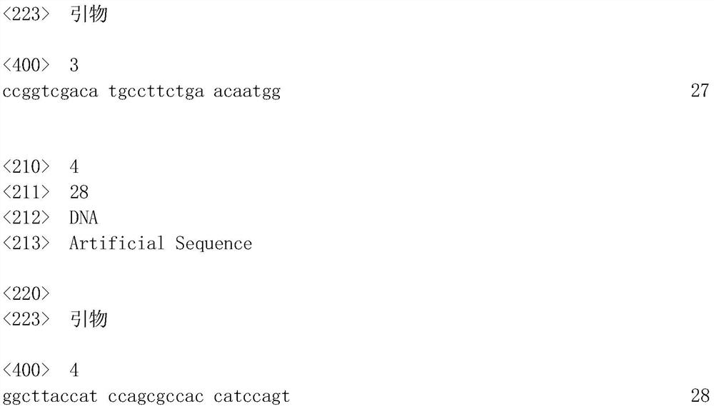 A method for directed evolution of gene promoters