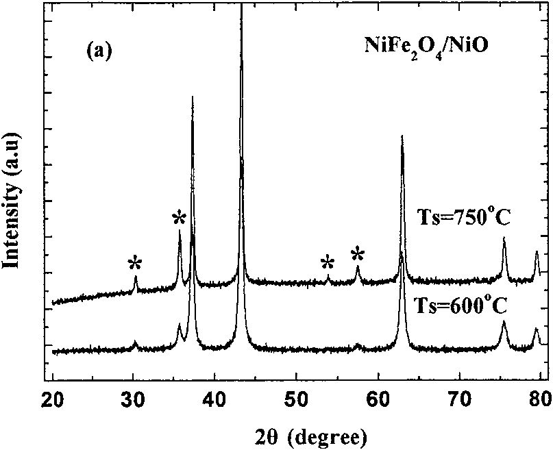 Ferrite nanometer particle embedded antiferromagnetic oxide matrix composite material and preparation method