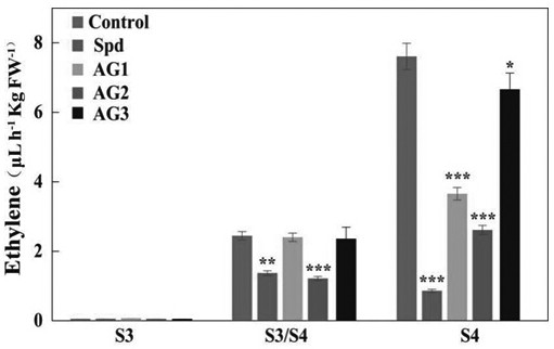 Application of polyamine decomposition inhibitor aminoguanidine in fruit preservation and its application method