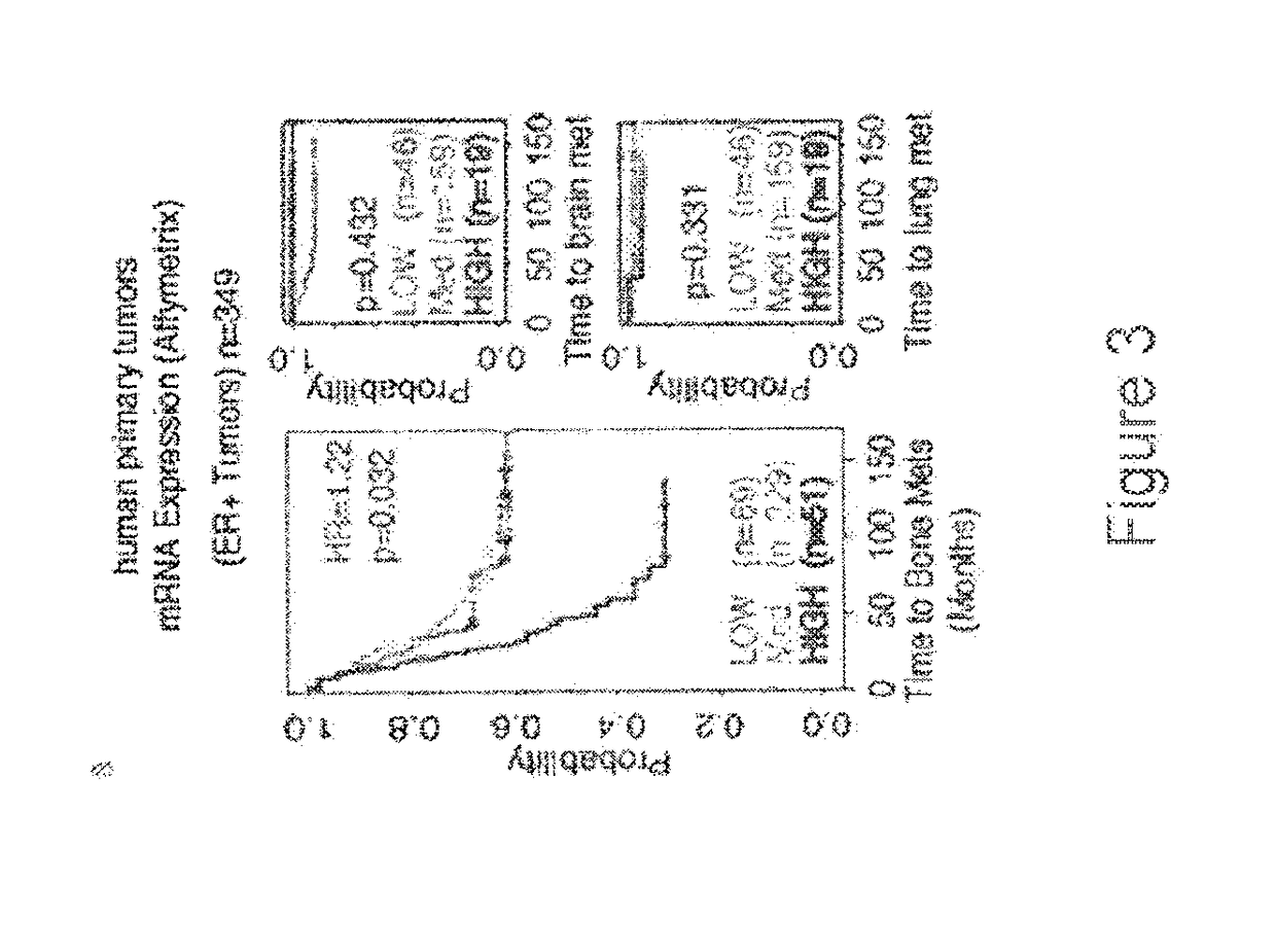Method for the prognosis and treatment of cancer metastasis