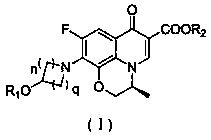 Tricyclic quinolone derivative, preparation method and application thereof