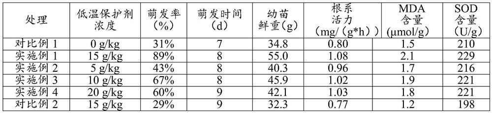 Penicillium composition with low-temperature protection effect, low-temperature protective agent, application of low-temperature protective agent and method for improving survival rate of floating seedlings