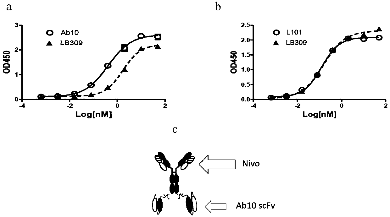 Bispecific antibody capable of targeting CLDN18.2, and preparation method and applications of bispecific antibody