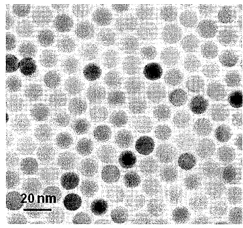 Magnetic resonance imaging contrast agents comprising zinc-containing magnetic metal oxide nanoparticles