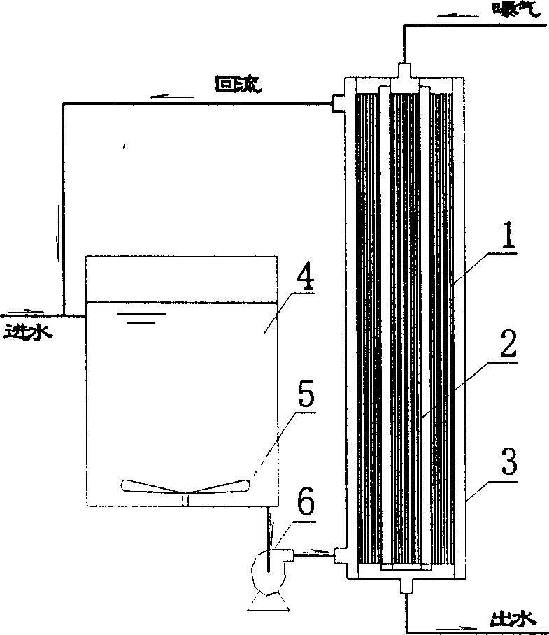 Membrane aeration and membrane separation coupled sewage treatment method