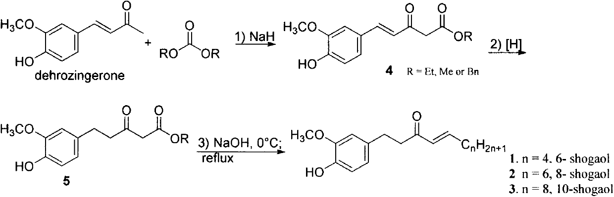 Rapid synthesis method of shogaol compounds