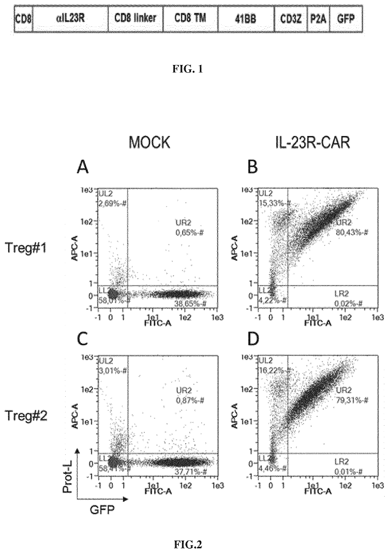 Chimeric antigen receptor specific for interleukin-23 receptor